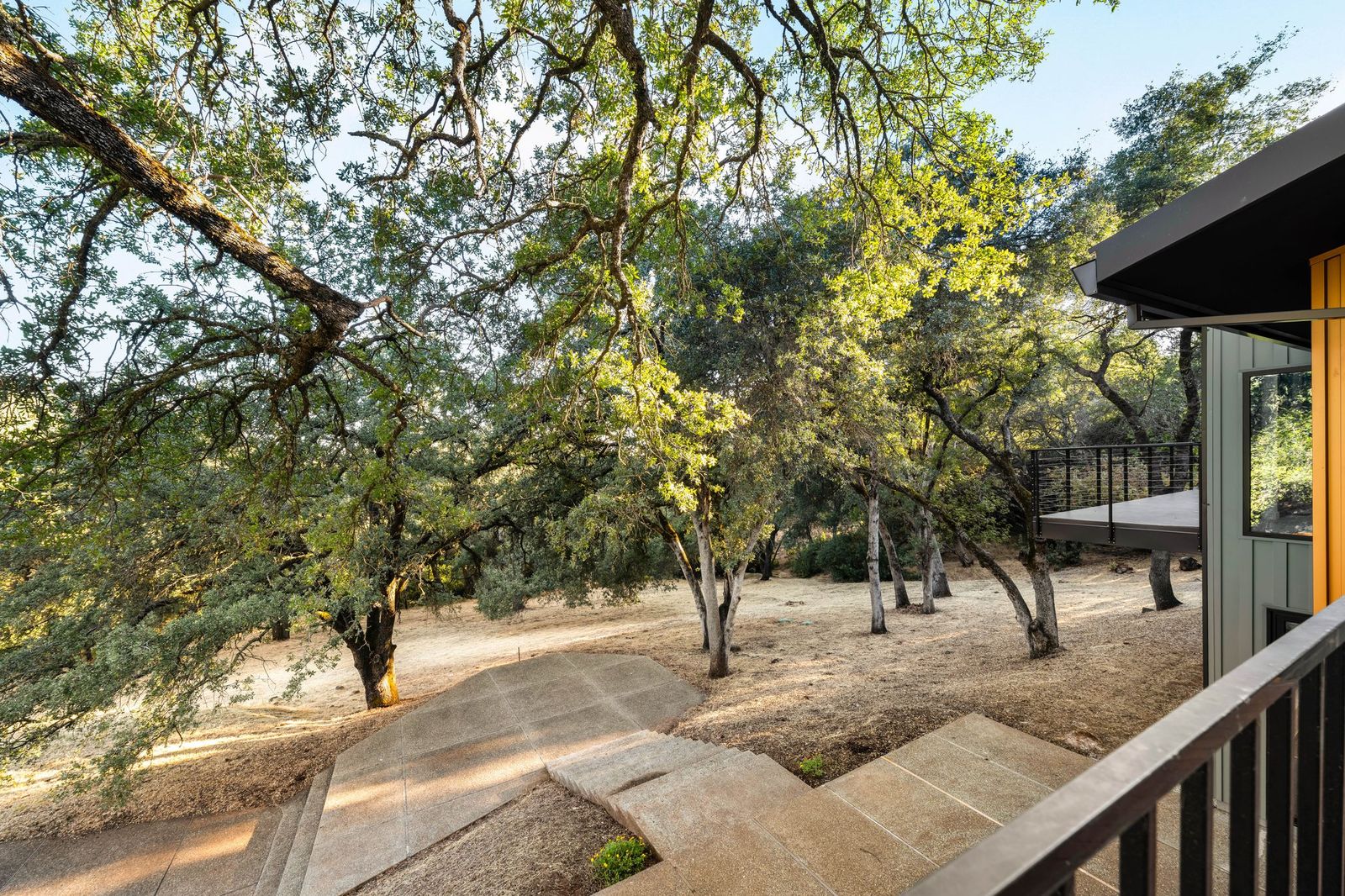 Path and steps winding through the oak grove
